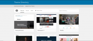 choosing a wordpress theme