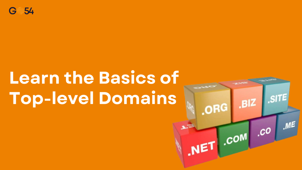 Image of TLDs